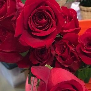 Meet your Posher, Carli